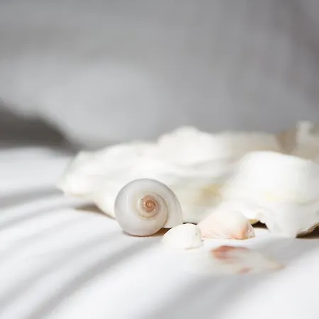 Inselhotel Ihnken Couette-café Norderney