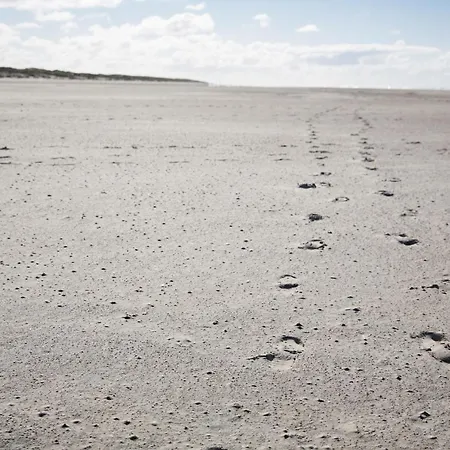 Inselhotel Ihnken 3*