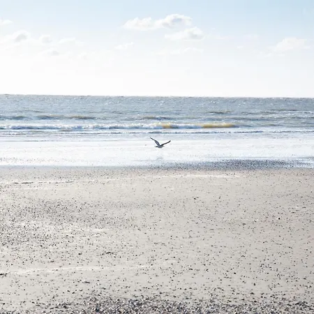 Inselhotel Ihnken 3*