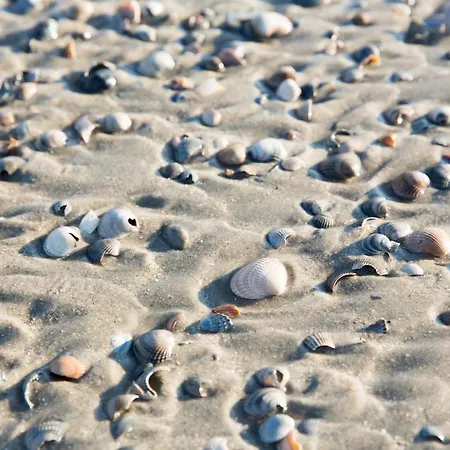 Inselhotel Ihnken 3*