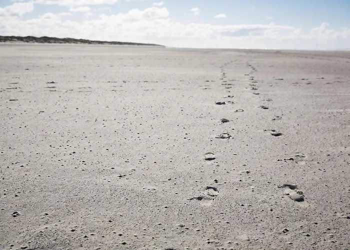 Inselhotel Ihnken 3*