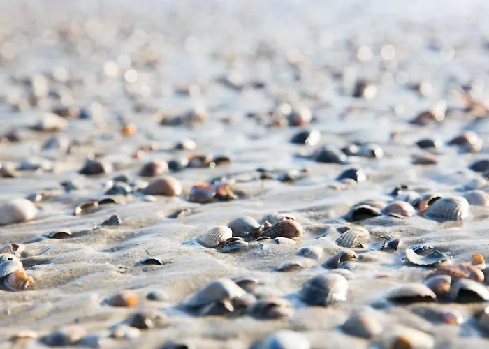 Inselhotel Ihnken 3* Нордерней